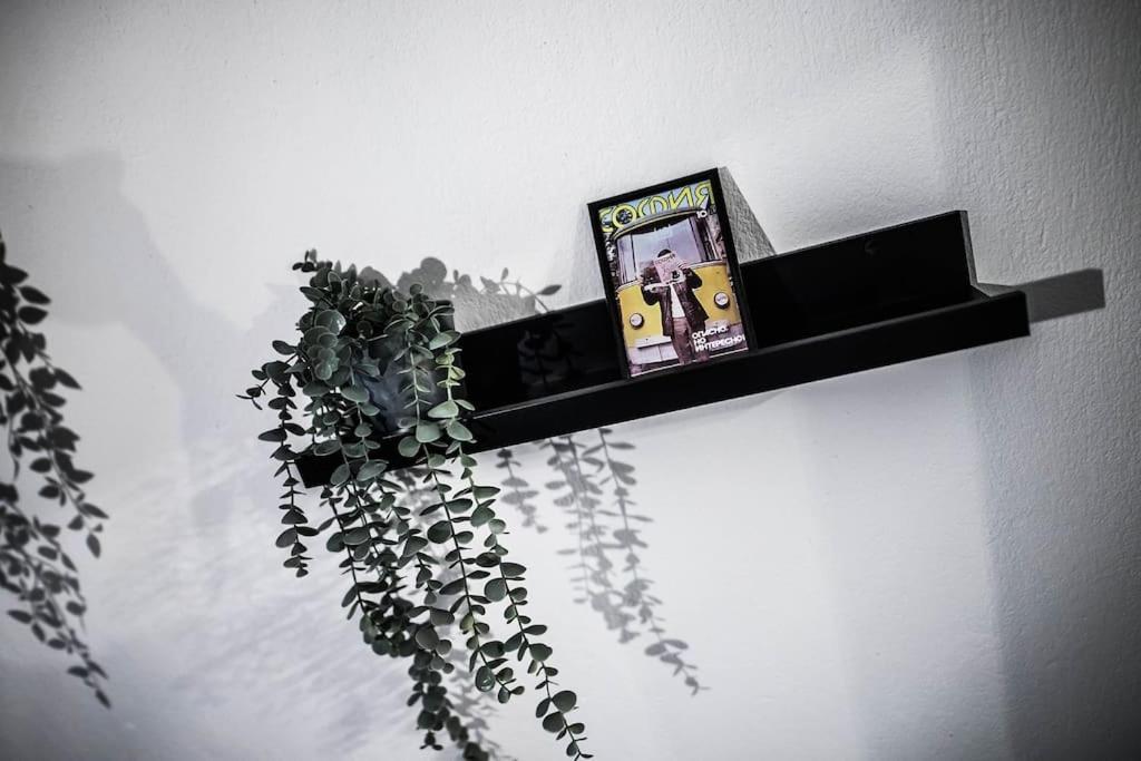 Flat Historic Center Apartamento *